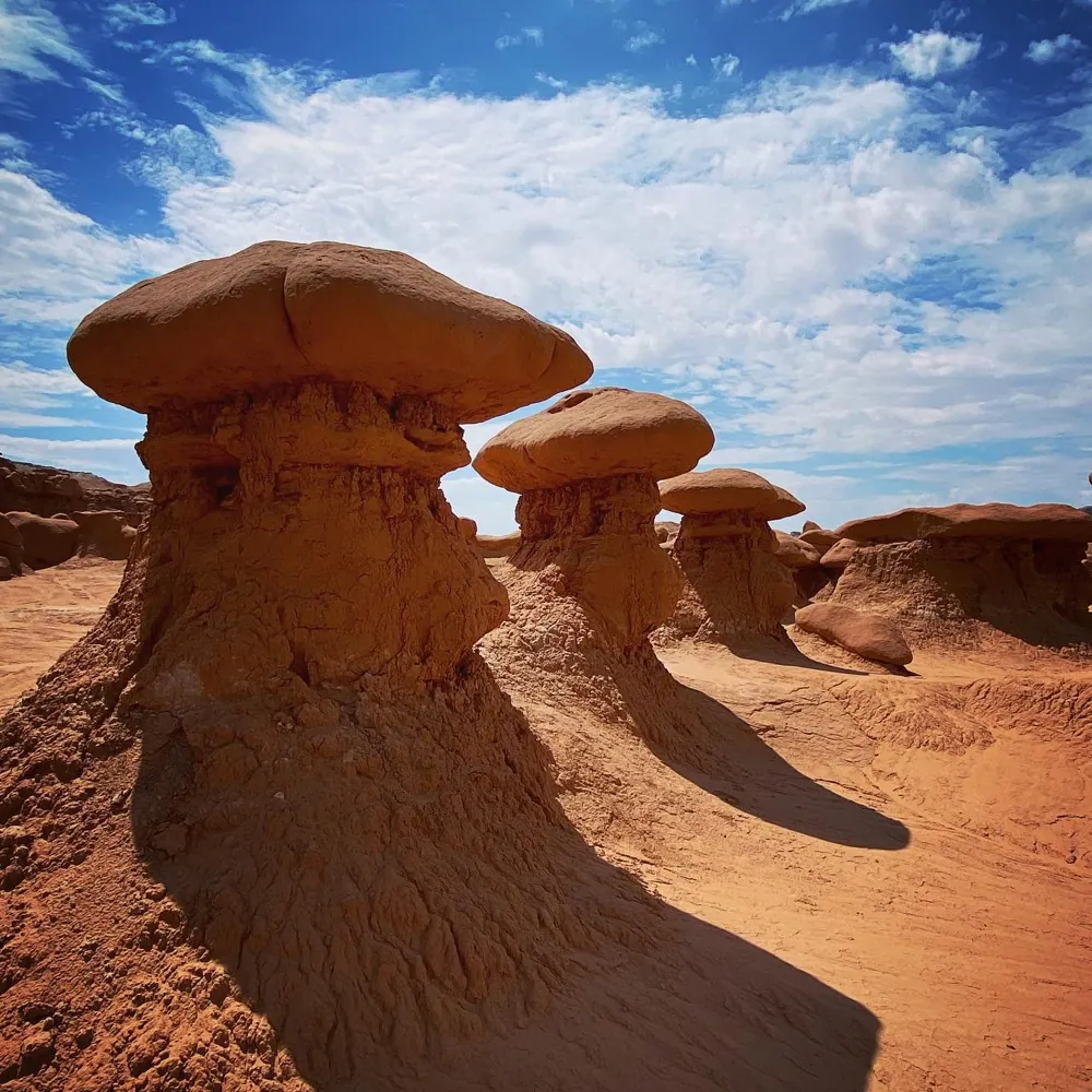 Mushroom-shaped sandstone hoodoos casting long shadows across a desert